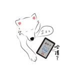 Cute Dog Samoyed（個別スタンプ：40）