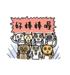 Iron microphone Diary2(Cat friends)（個別スタンプ：2）