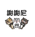 Iron microphone Diary2(Cat friends)（個別スタンプ：21）