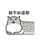 Iron microphone Diary2(Cat friends)（個別スタンプ：29）