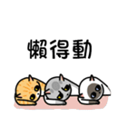 Iron microphone Diary2(Cat friends)（個別スタンプ：33）