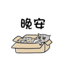 Iron microphone Diary2(Cat friends)（個別スタンプ：38）
