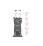 ネコでれんらく（個別スタンプ：8）