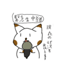 gudeneko（個別スタンプ：13）