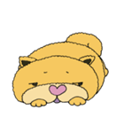 チャウチャウなのです。（個別スタンプ：13）