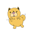 チャウチャウなのです。（個別スタンプ：24）