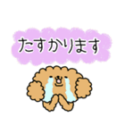 ふんわり敬語（トイプードル）（個別スタンプ：19）