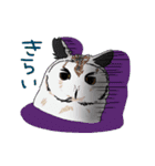 ふくろうたち（個別スタンプ：37）