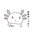 ウーパールーパーのうぱぱちゃん（個別スタンプ：4）