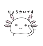 ウーパールーパーのうぱぱちゃん（個別スタンプ：6）