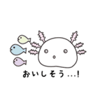 ウーパールーパーのうぱぱちゃん（個別スタンプ：8）