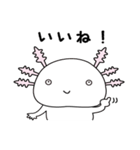 ウーパールーパーのうぱぱちゃん（個別スタンプ：12）