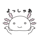 ウーパールーパーのうぱぱちゃん（個別スタンプ：15）