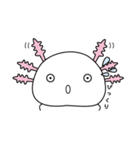 ウーパールーパーのうぱぱちゃん（個別スタンプ：19）