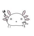 ウーパールーパーのうぱぱちゃん（個別スタンプ：21）
