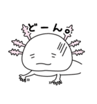 ウーパールーパーのうぱぱちゃん（個別スタンプ：22）