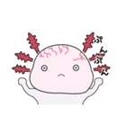 ウーパールーパーのうぱぱちゃん（個別スタンプ：24）