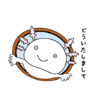 ウーパールーパーのうぱぱちゃん（個別スタンプ：27）