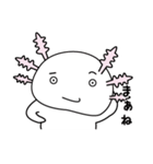 ウーパールーパーのうぱぱちゃん（個別スタンプ：34）