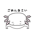 ウーパールーパーのうぱぱちゃん（個別スタンプ：37）