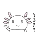 ウーパールーパーのうぱぱちゃん（個別スタンプ：40）