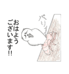 隈っくま（個別スタンプ：3）