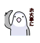 ゆかいなラブバード（個別スタンプ：22）