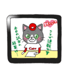Hiroshima Cat 4 春（個別スタンプ：37）