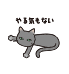 グレぬこ 3（個別スタンプ：15）