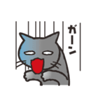 グレぬこ 3（個別スタンプ：27）