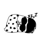 NO Egg50%（個別スタンプ：21）