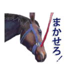 Happy Horses 3（個別スタンプ：7）