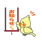 インコのピピピ（個別スタンプ：5）