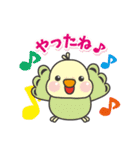 インコのピピピ（個別スタンプ：14）