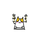 ねこのにゃおみさんパート2（個別スタンプ：1）