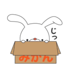 ツンデレうさぎのウサー（個別スタンプ：34）