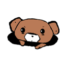 nano くま（個別スタンプ：34）