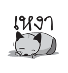 Grayscale Cat（個別スタンプ：10）