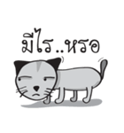 Grayscale Cat（個別スタンプ：14）