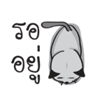 Grayscale Cat（個別スタンプ：21）