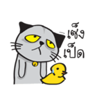 Grayscale Cat（個別スタンプ：24）