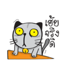 Grayscale Cat（個別スタンプ：25）