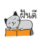 Grayscale Cat（個別スタンプ：29）