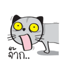 Grayscale Cat（個別スタンプ：32）