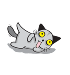 Grayscale Cat（個別スタンプ：33）