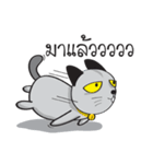 Grayscale Cat（個別スタンプ：34）