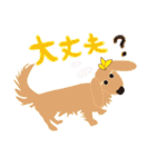 愛犬ゆいのピュアな日々（個別スタンプ：8）