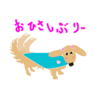 愛犬ゆいのピュアな日々（個別スタンプ：35）