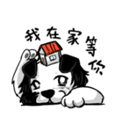 Happy Dogs Club:PAN-PAN is me（個別スタンプ：9）