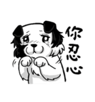 Happy Dogs Club:PAN-PAN is me（個別スタンプ：10）